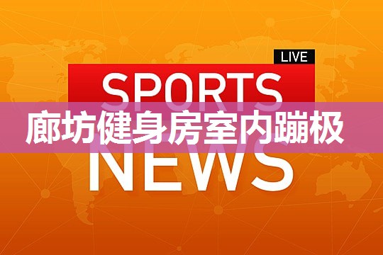 廊坊健身房室内蹦极