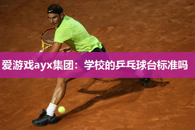 爱游戏ayx集团：学校的乒乓球台标准吗