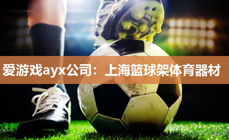 爱游戏ayx公司：上海篮球架体育器材