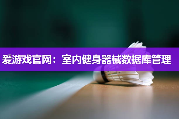 爱游戏官网：室内健身器械数据库管理