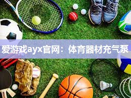 爱游戏ayx官网：体育器材充气泵
