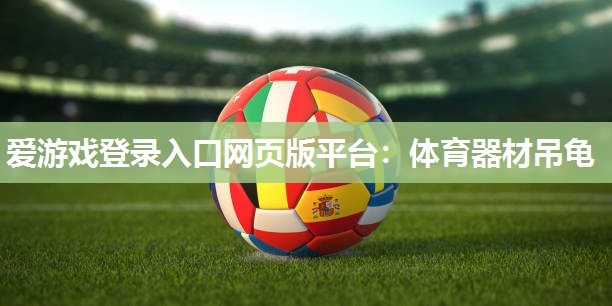 爱游戏登录入口网页版平台：体育器材吊龟