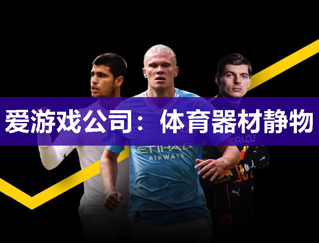 爱游戏公司：体育器材静物