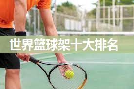 世界篮球架十大排名