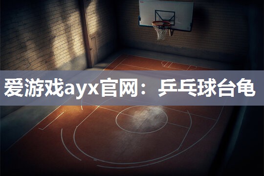 乒乓球台龟