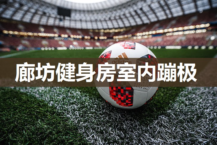 廊坊健身房室内蹦极