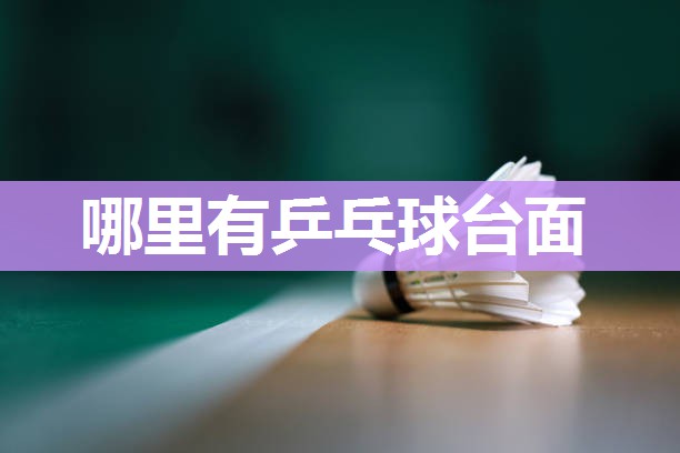 哪里有乒乓球台面