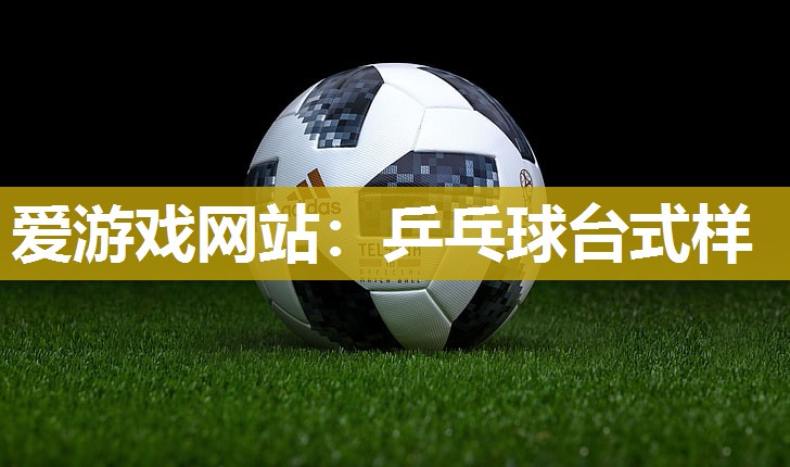 乒乓球台式样
