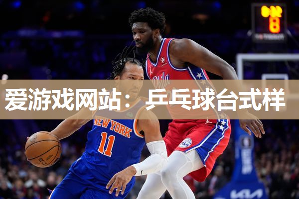乒乓球台式样