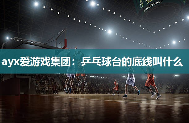 乒乓球台的底线叫什么