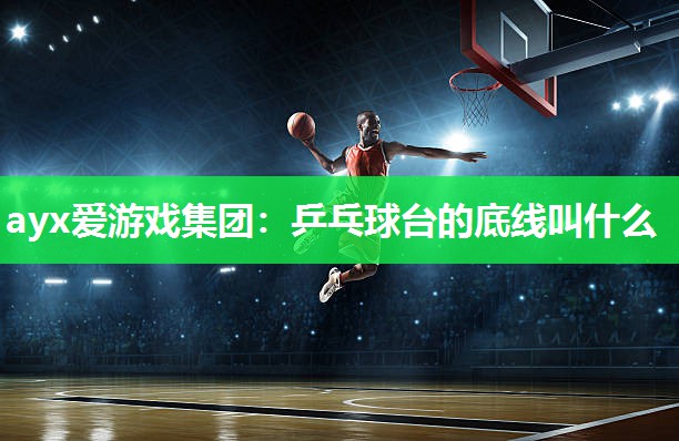乒乓球台的底线叫什么
