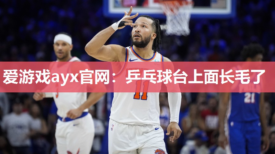 乒乓球台上面长毛了