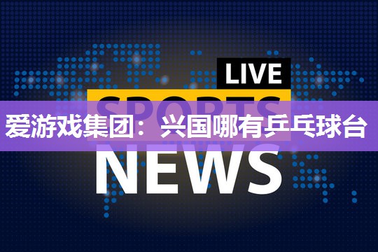 兴国哪有乒乓球台