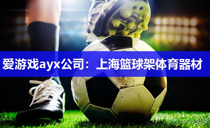 上海篮球架体育器材