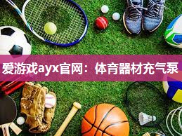 体育器材充气泵