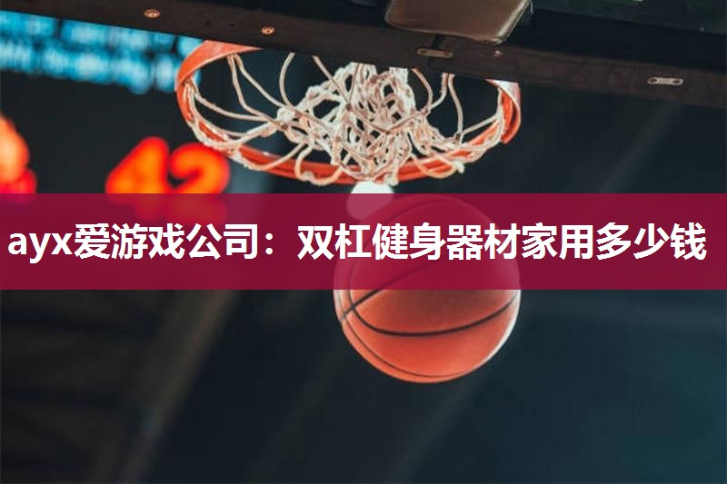 双杠健身器材家用多少钱